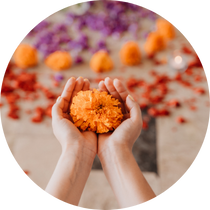 Energy Healing Gift Packages are available.