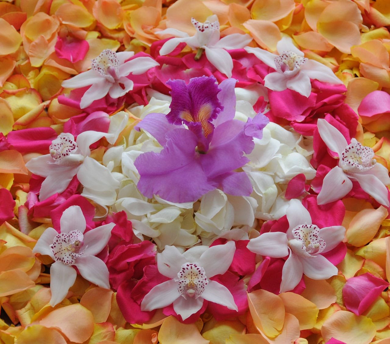 The preparation of a mandala ceremony